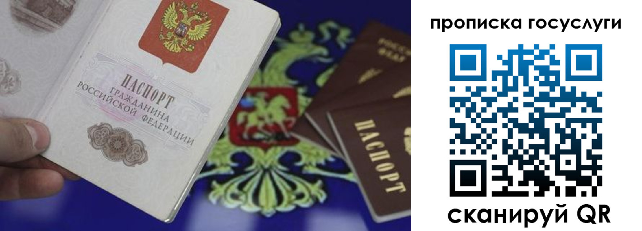 прописка для школы в Рошале